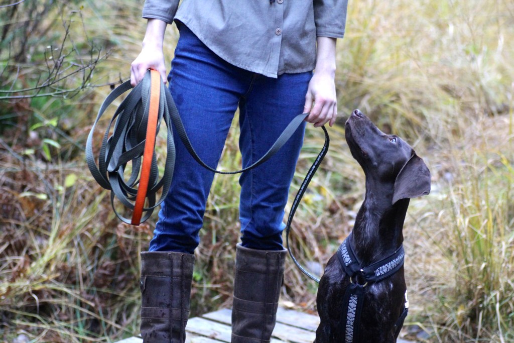En person står på en träbro och håller i hundkoppel, medan en hund ser upp på dem i en naturlig miljö.