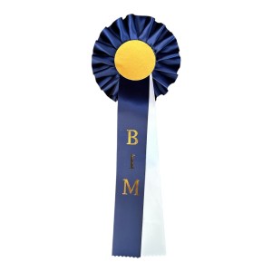 BIM (Valfri grupp)