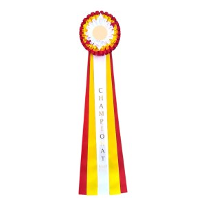 RALLYLYDNAD CHAMPIONATROSETT