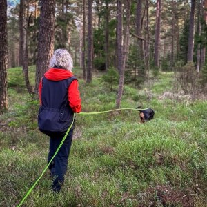 Privatkurs - Avancerade spår